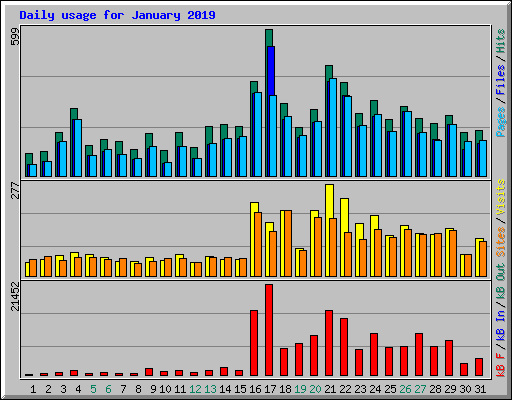 Daily usage for January 2019