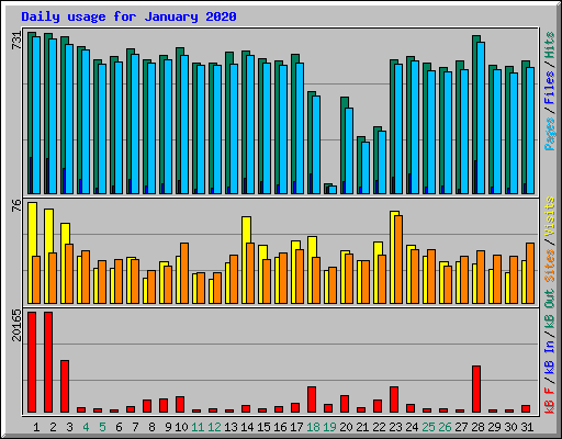 Daily usage for January 2020