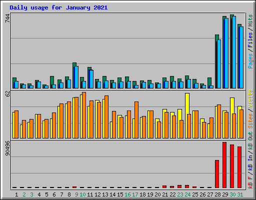 Daily usage for January 2021