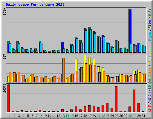 Daily usage for January 2023