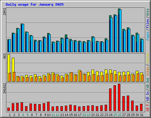 Daily usage for January 2025