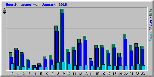 Hourly usage for January 2016