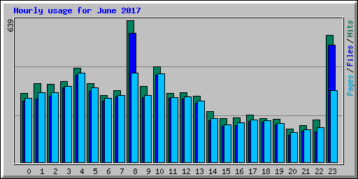 Hourly usage for June 2017