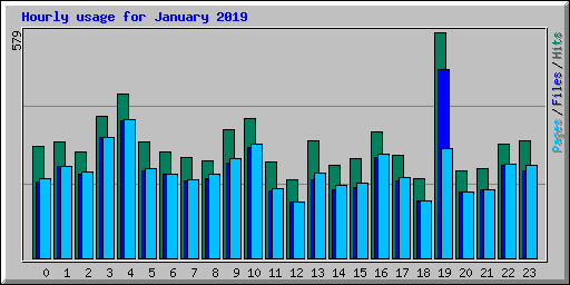 Hourly usage for January 2019