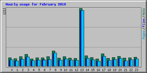 Hourly usage for February 2019