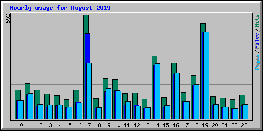 Hourly usage for August 2019