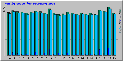 Hourly usage for February 2020