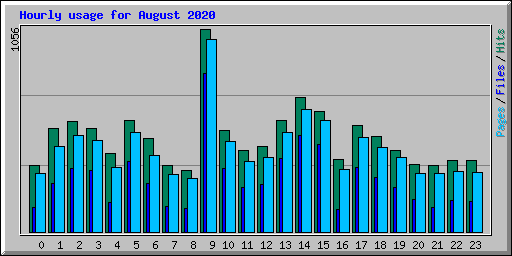 Hourly usage for August 2020