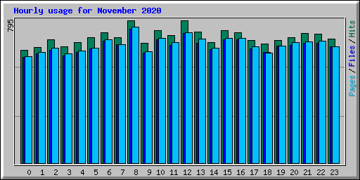 Hourly usage for November 2020