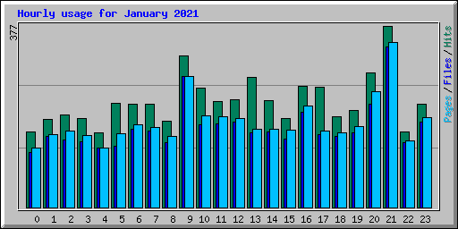 Hourly usage for January 2021