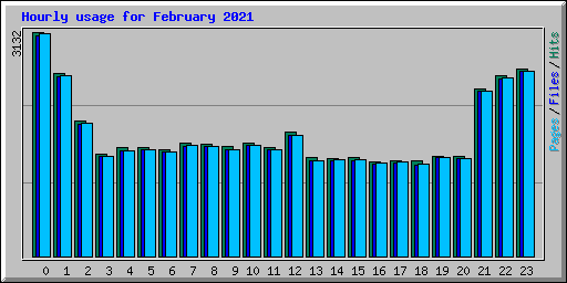 Hourly usage for February 2021