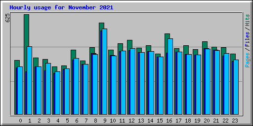 Hourly usage for November 2021