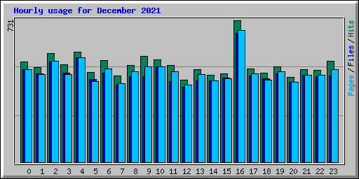 Hourly usage for December 2021