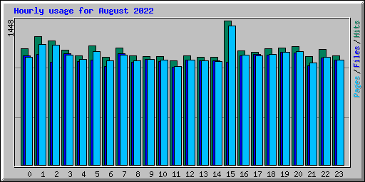 Hourly usage for August 2022