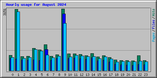 Hourly usage for August 2024