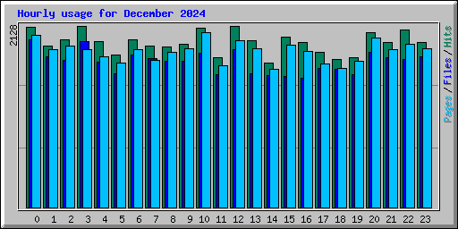 Hourly usage for December 2024