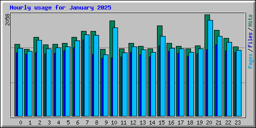 Hourly usage for January 2025