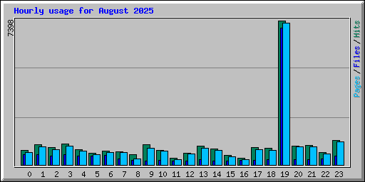 Hourly usage for August 2025