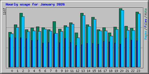 Hourly usage for January 2026