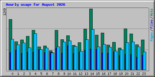 Hourly usage for August 2026